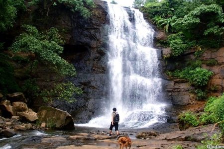 Rappelling At Bhivpuri Waterfall near Sohana Eco Resort